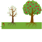 Rise College